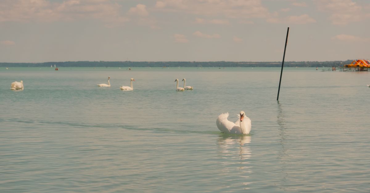 Lake Balaton