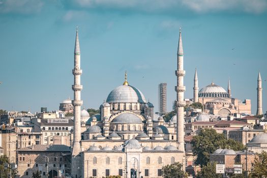 Capture of Istanbul showcasing the Blue Mosque and Hagia Sophia with minarets.