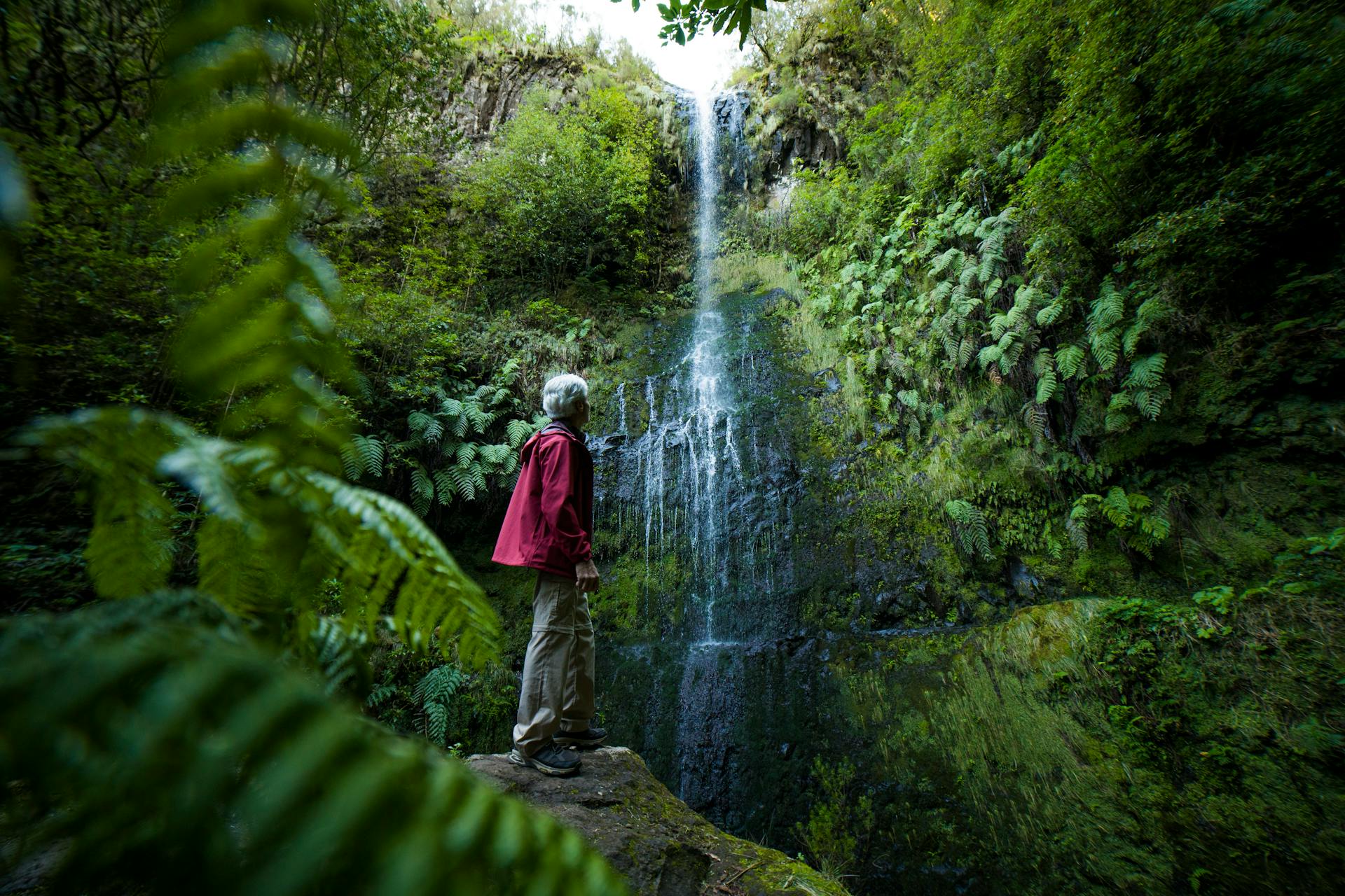A hiker gazes at a waterfall in the dense, vibrant forests of Madeira Island, Portugal.