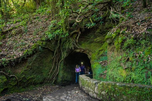 Levada hike through laurel forest — Madeira