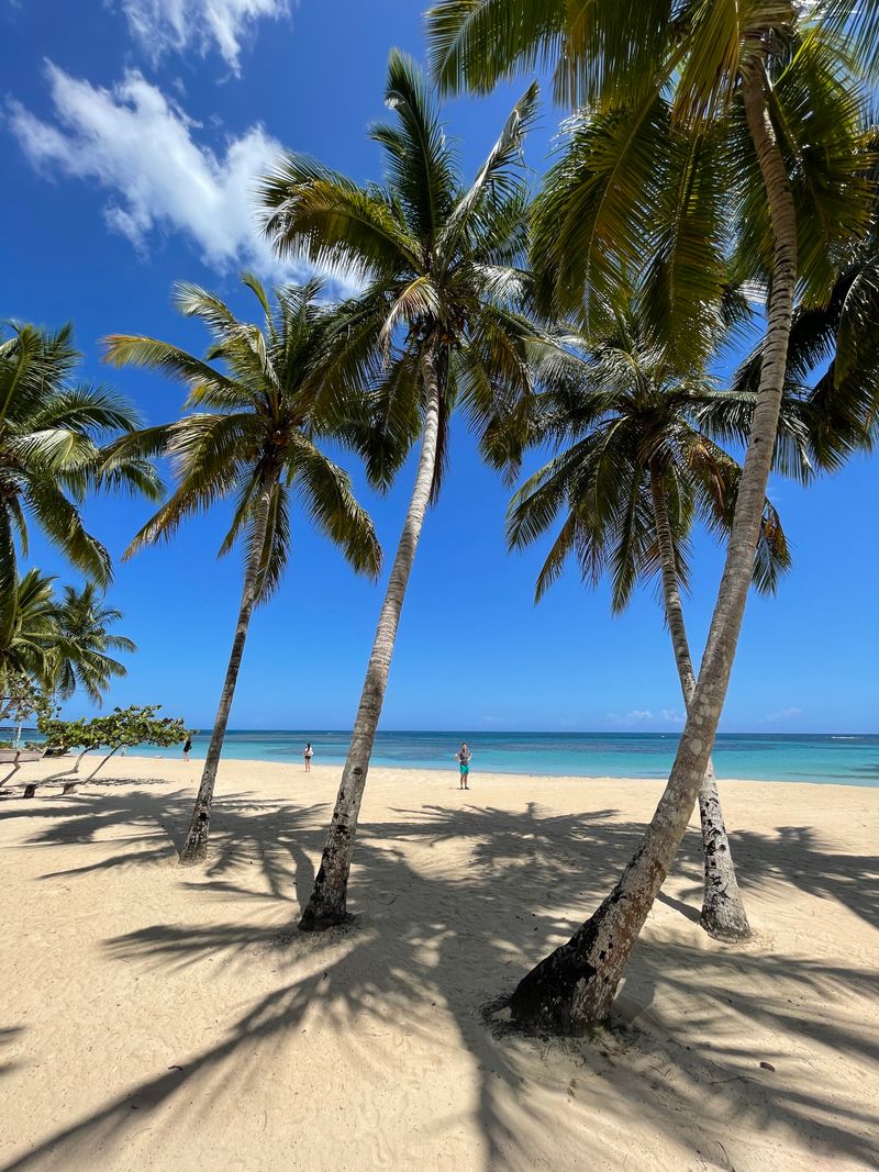 Playa de arena blanca con palmeras en la península de Samaná, República Dominicana