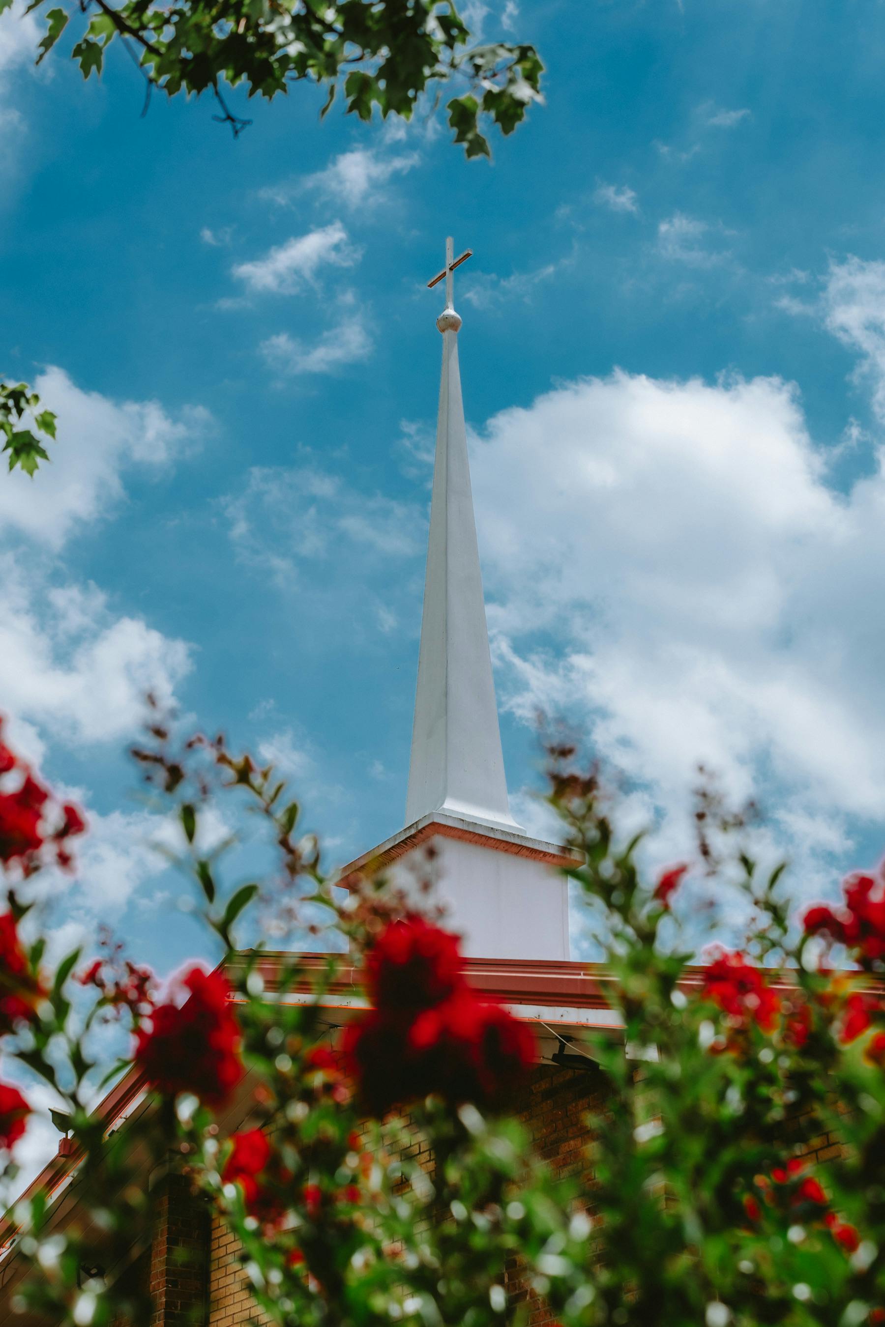 A serene scene of a church steeple with vibrant red blossoms under a bright blue sky.