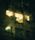 night window