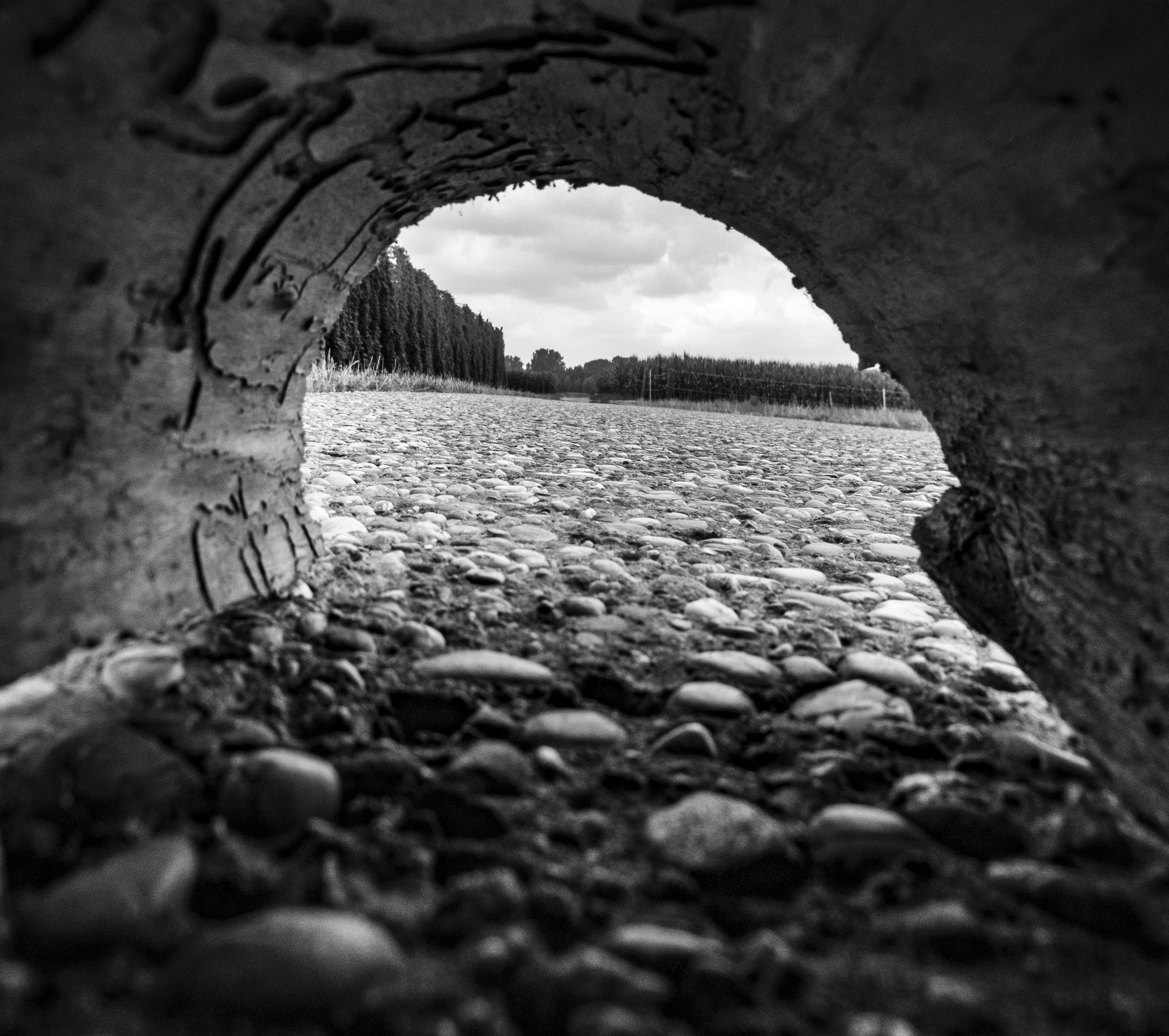 Free stock photo of background, black and white, black andwhite