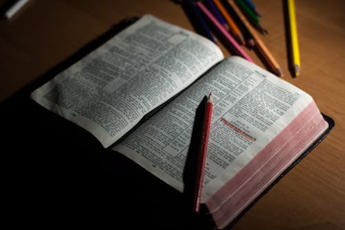 Pink Pencil Auf Open Bible Page Und Pink