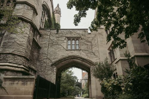 Free Gothic architecture archway in Chicago, covered with ivy and surrounded by lush greenery. Stock Photo