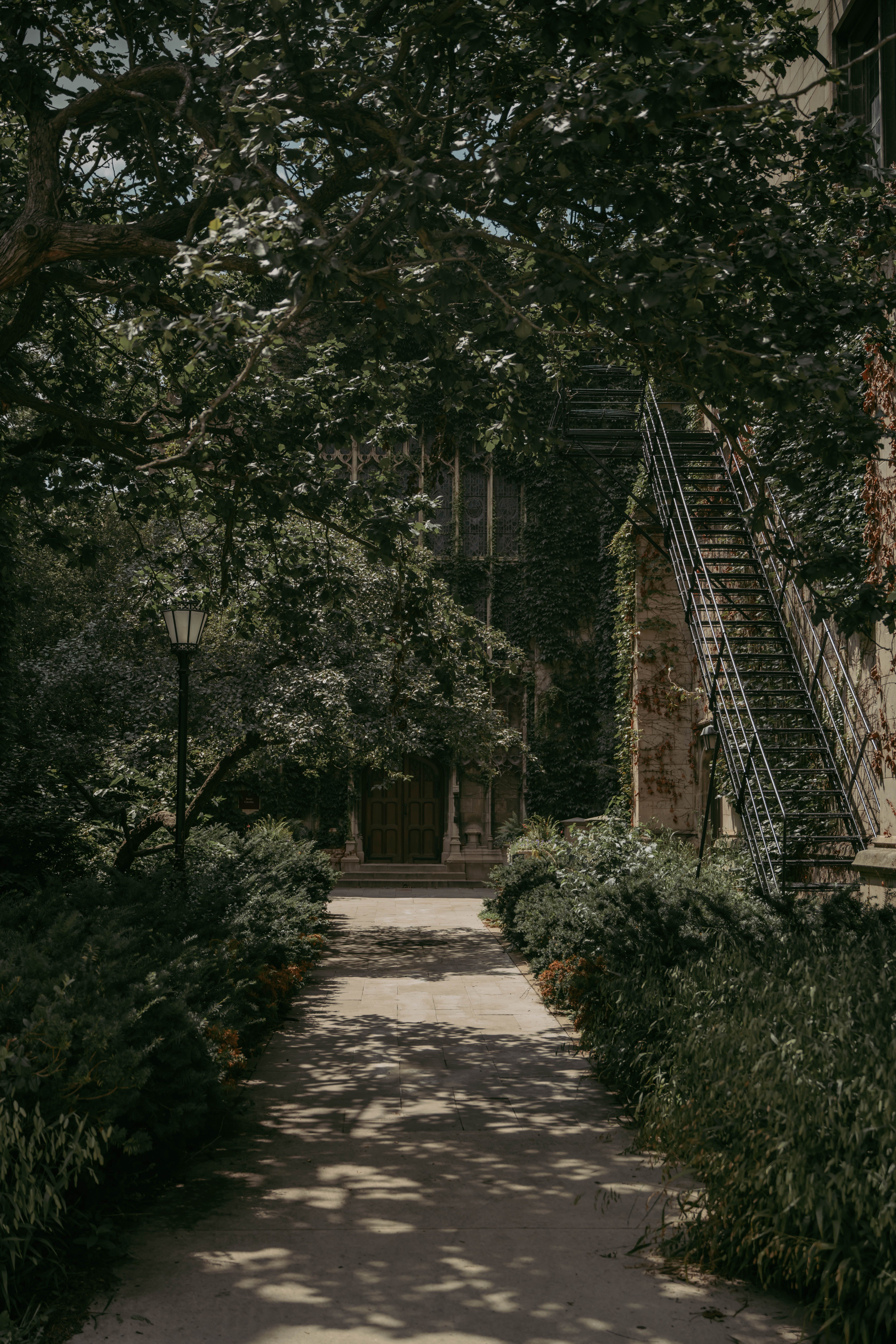A pathway leading to a building with stairs · Free Stock Photo