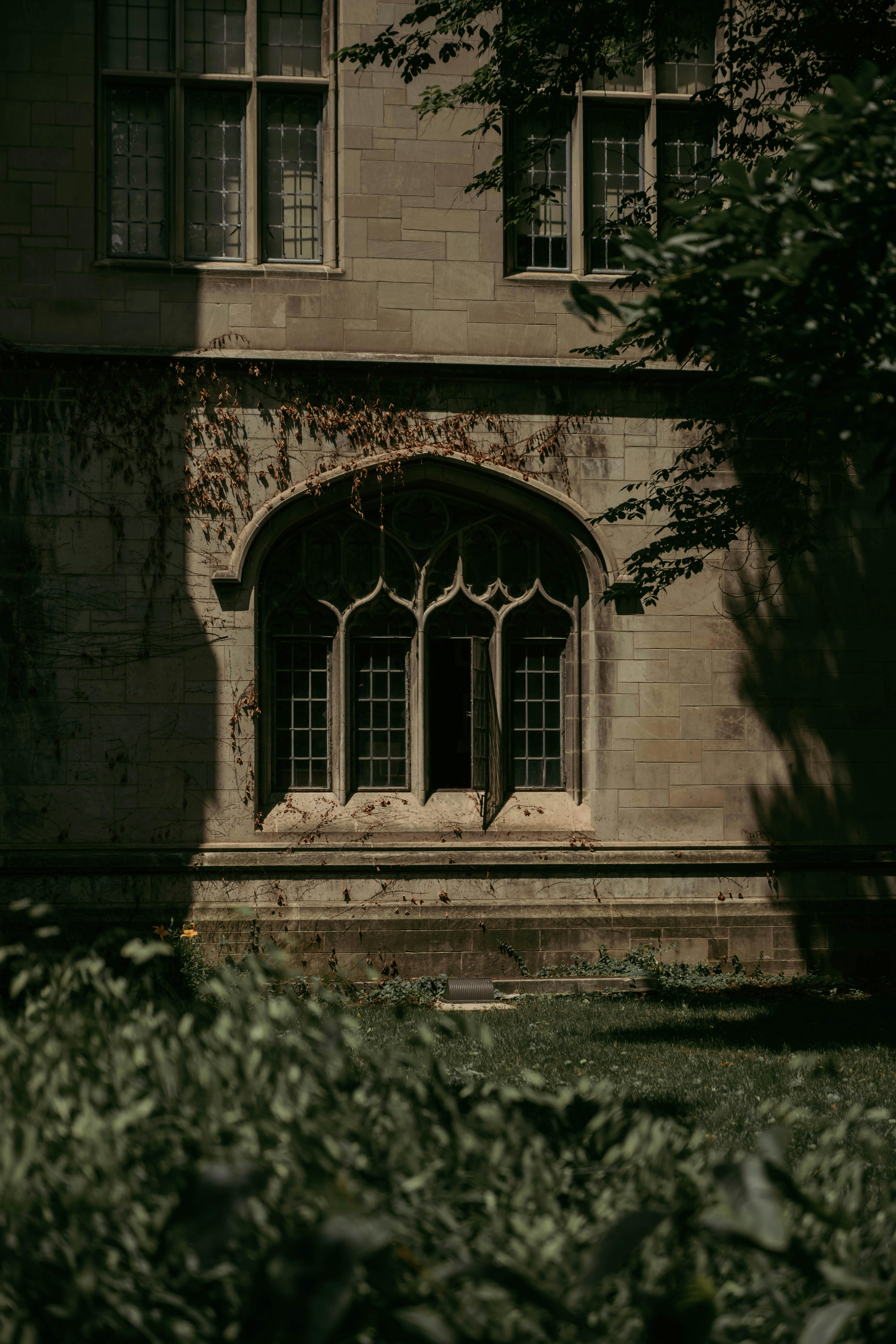 a window in a building with a tree in the background