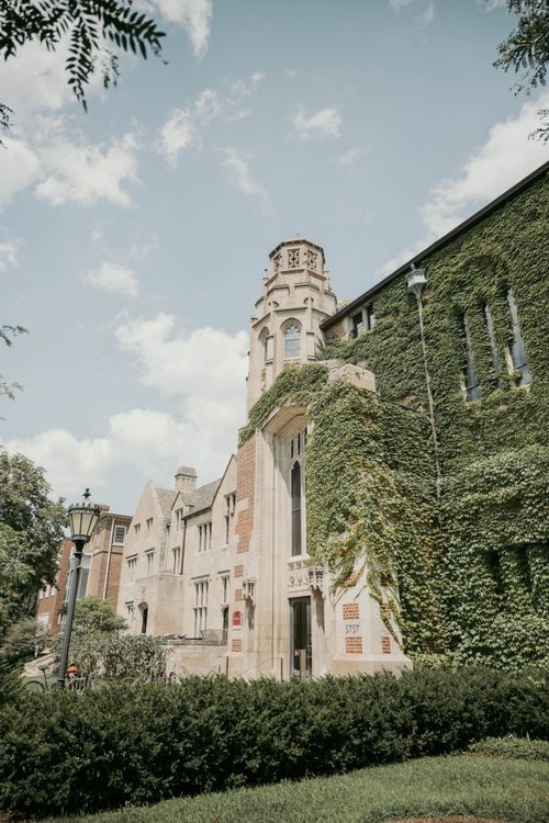 Free A beautiful ivy-covered historic building in Chicago, showcasing stunning Gothic architecture. Stock Photo