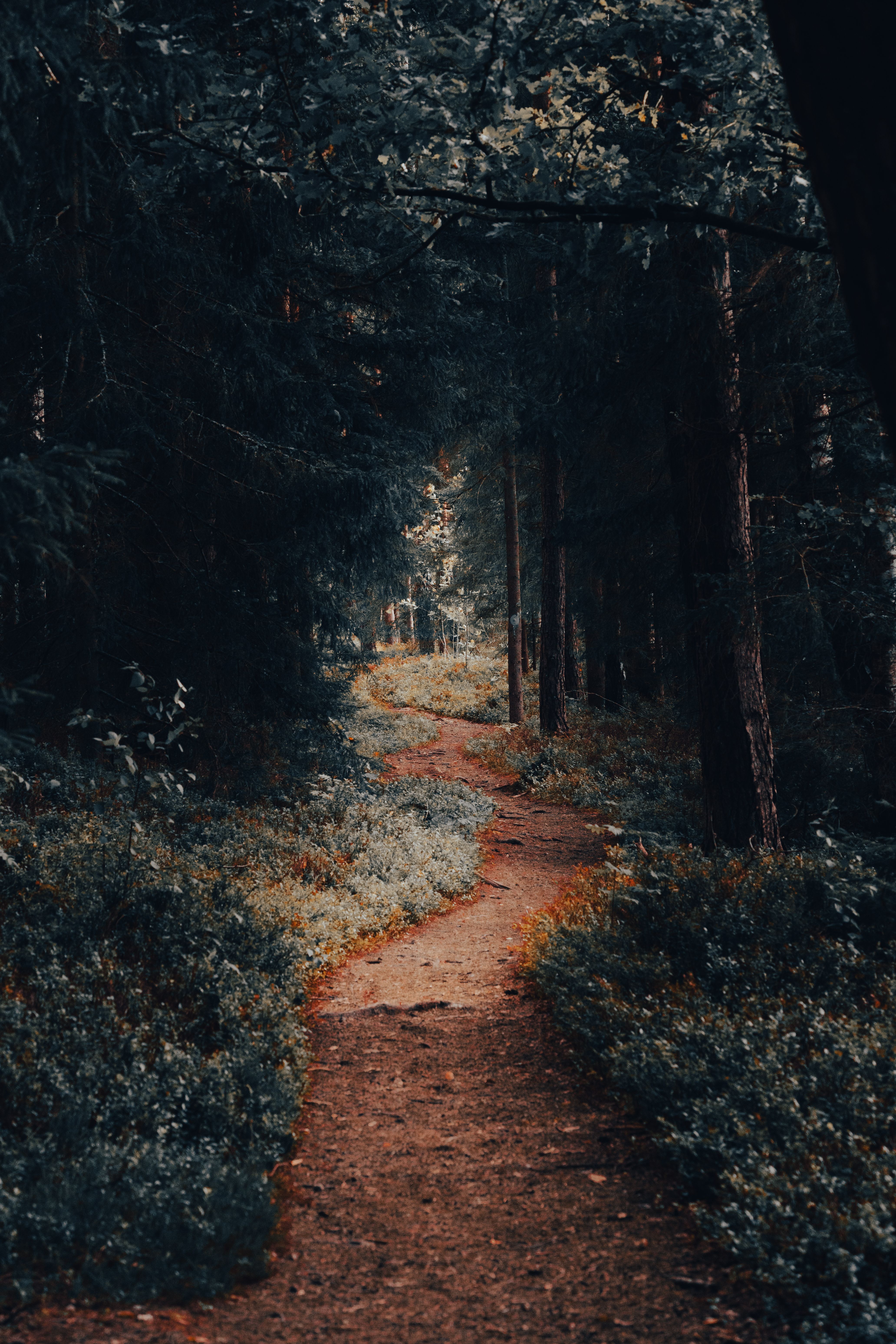 Your Own Path And Destiny