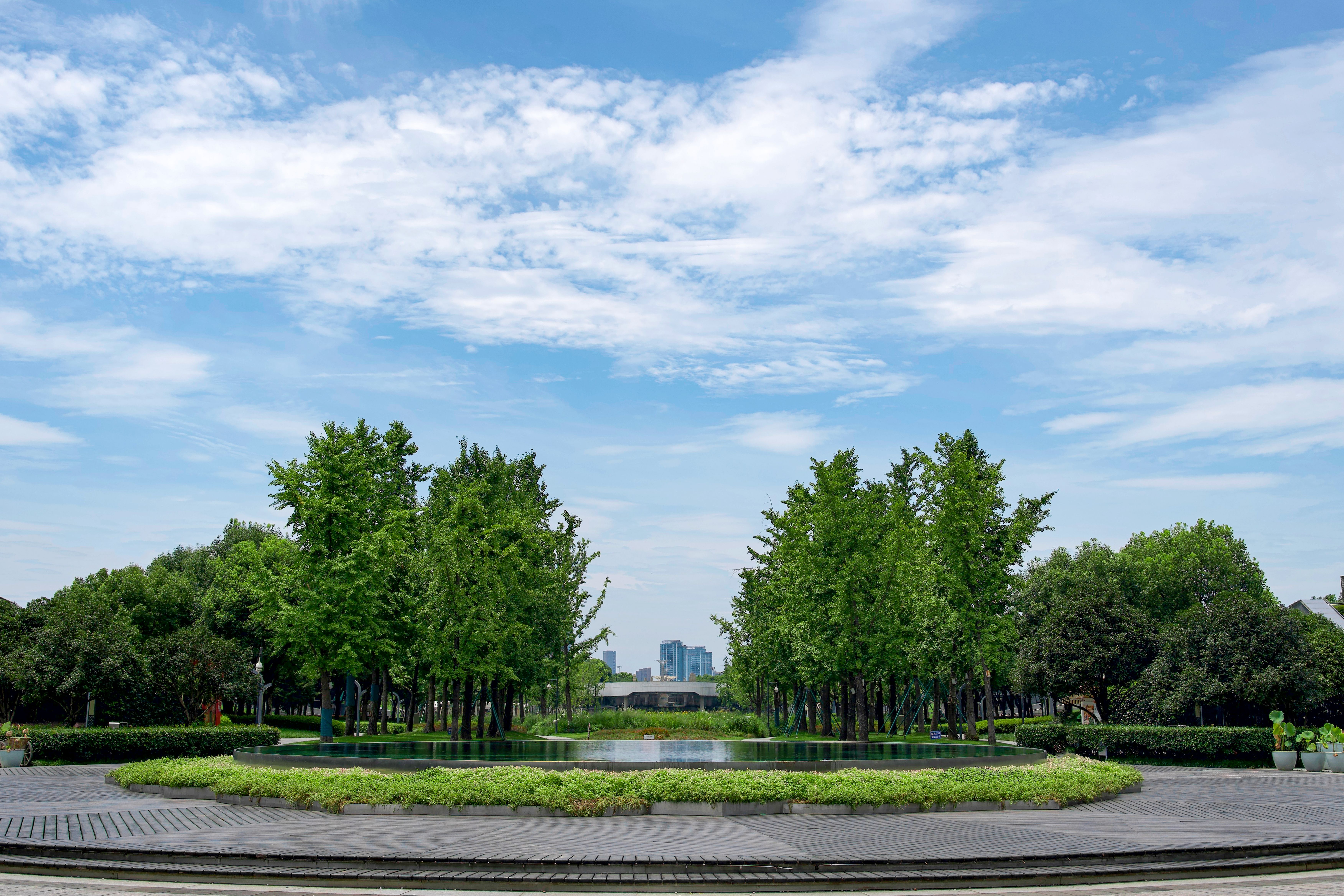 A tranquil city park featuring lush trees and a reflective pond under a blue sky.