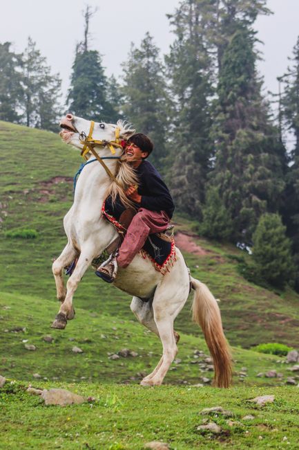 Youth riding a rearing horse in a vibrant green meadow, exuding adventure and freedom.