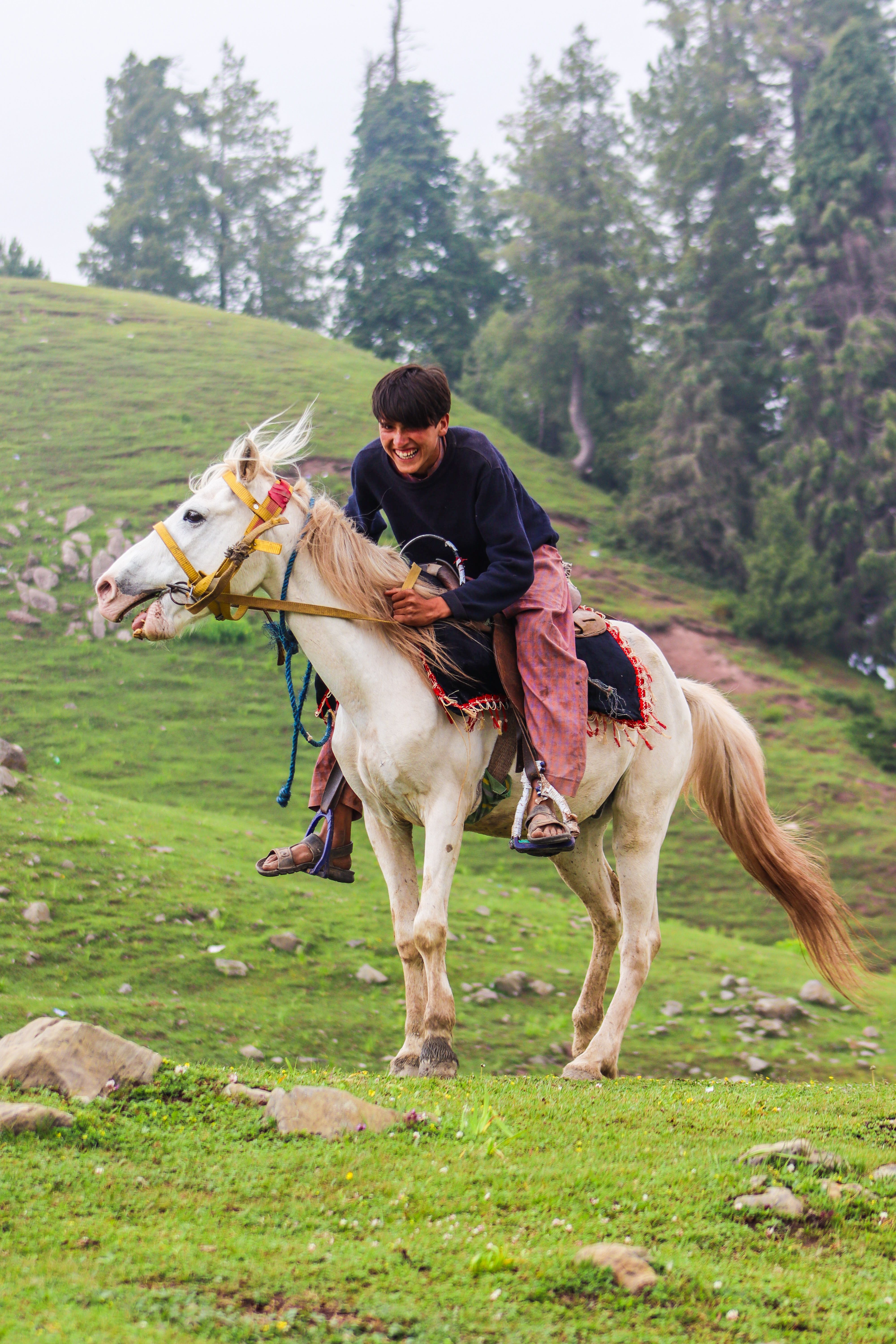A man riding a horse in a field · Free Stock Photo