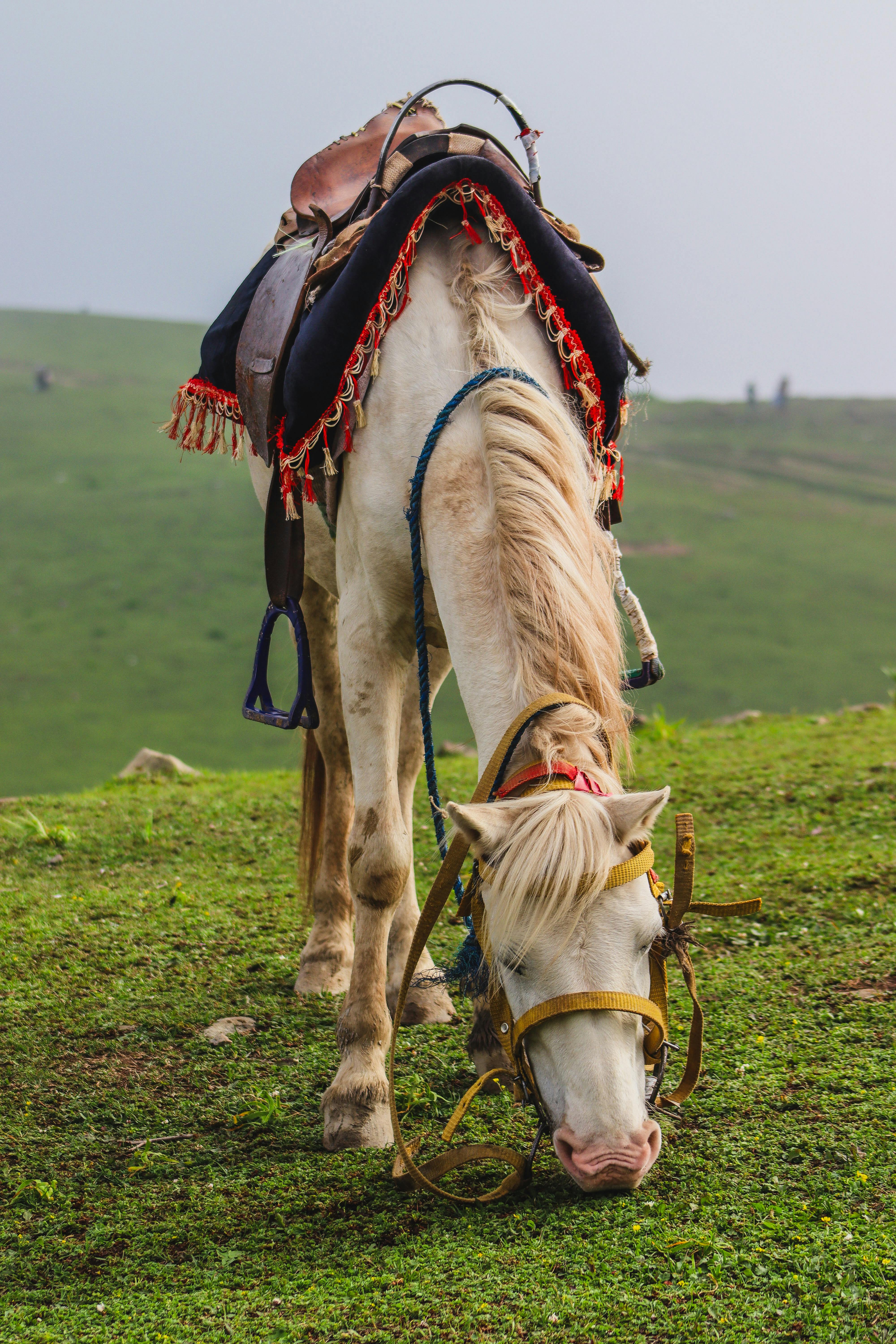 A serene scene of a white horse with a saddle grazing on a green hillside under a cloudy sky.