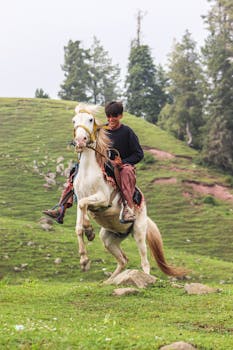 A young person rides a white horse across a vibrant green hillside, showcasing harmony with nature.