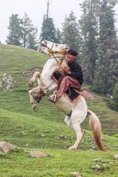 A young man energetically rides a rearing white horse in a lush green outdoor setting.