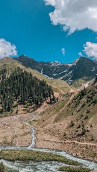 A stunning mountain view featuring a flowing river with lush trees and some snow on peaks in summer.