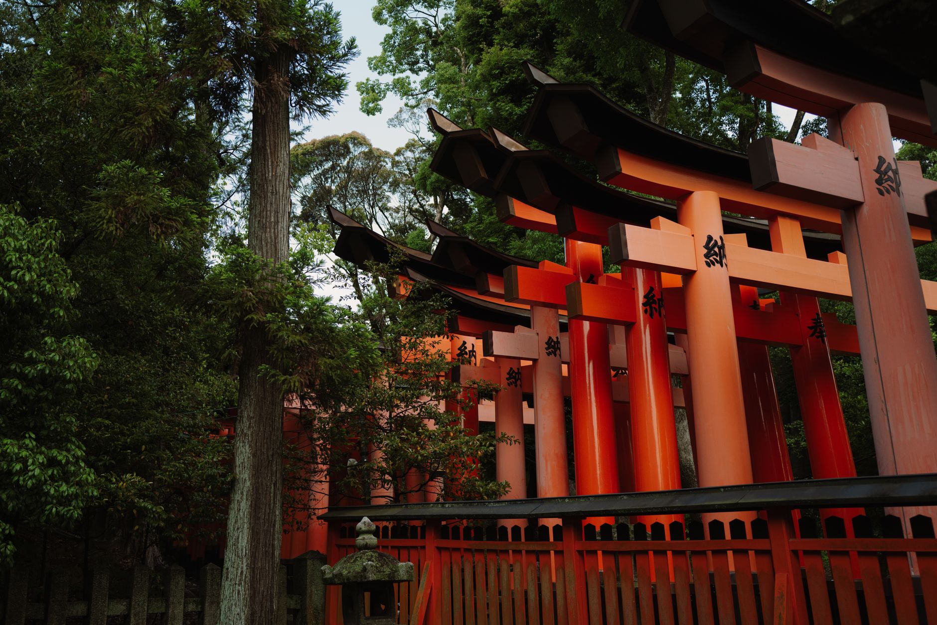 Kyoto, Japan