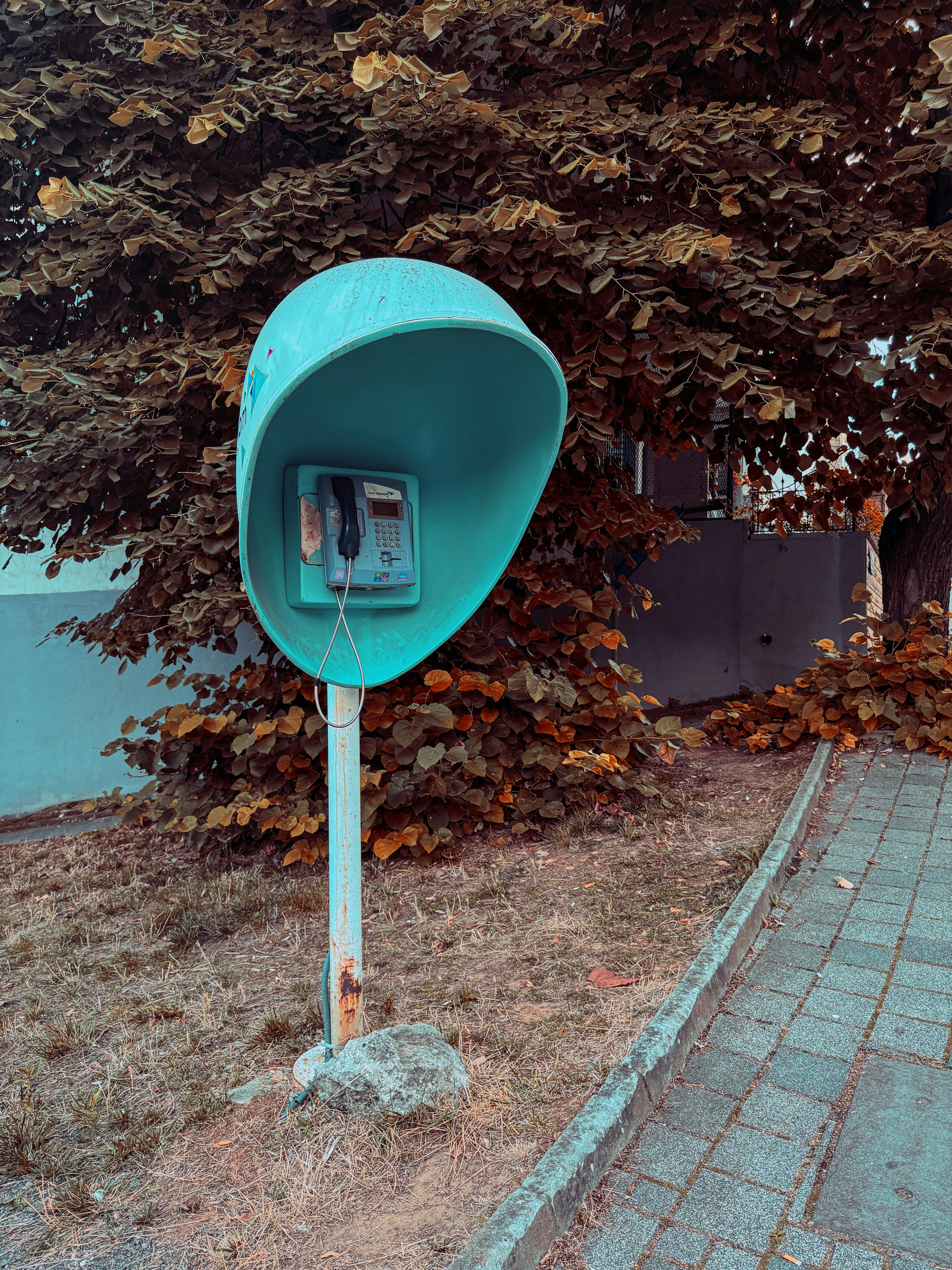 bezplatná Základová fotografie zdarma na téma @ venku, chodník, dědictví Základová fotografie