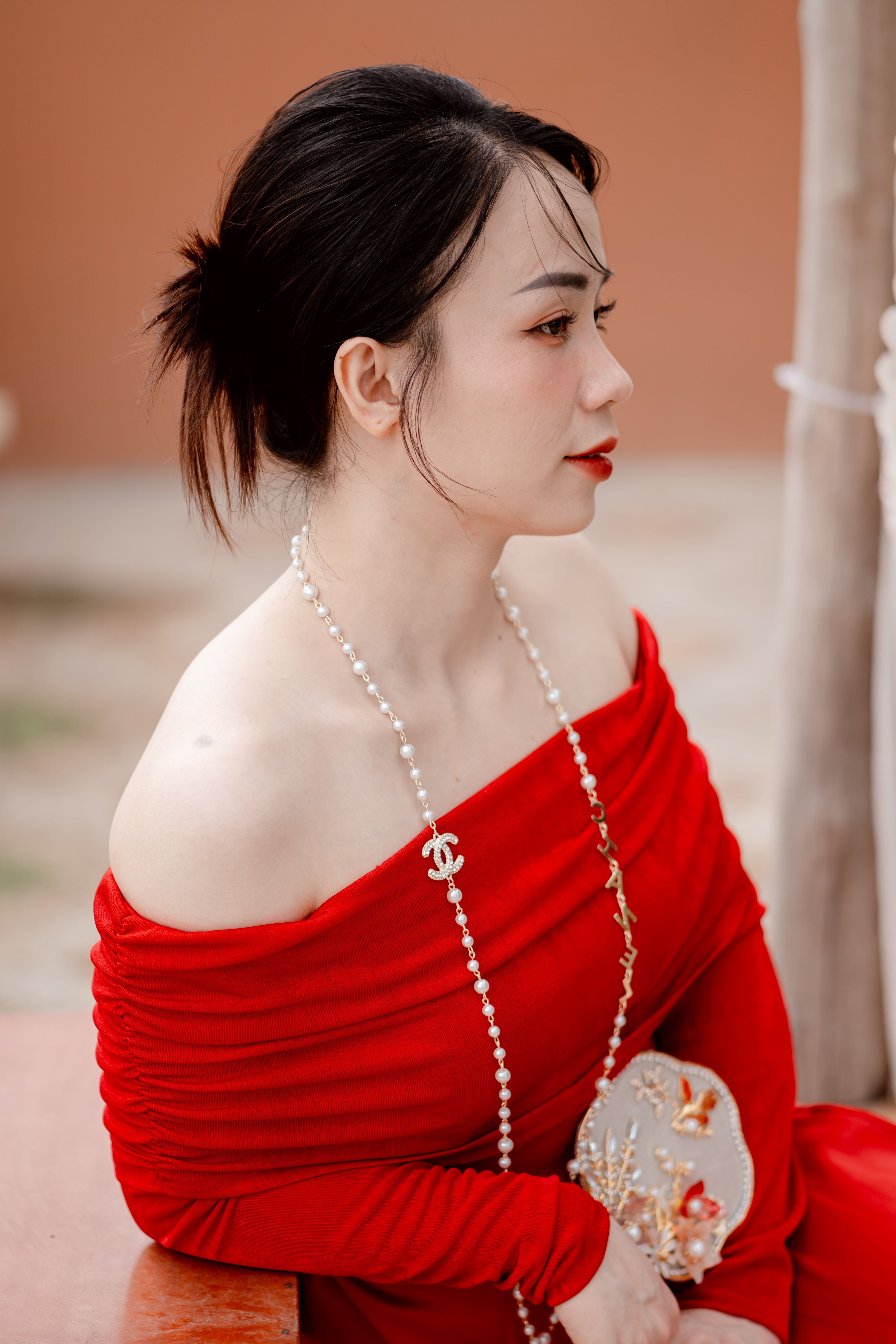 Profile of a Beautiful Elegant Woman in a Red Dress and Jewelry  Free  Stock Photo