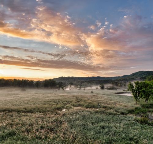 Free Stunning sunrise over a misty field in Modena, WI, capturing nature's tranquility. Stock Photo