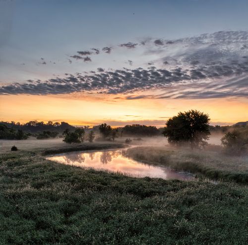 Free Capture the tranquil beauty of a sunrise over a misty Wisconsin landscape, reflecting serene colors. Stock Photo