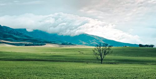 Free A scenic landscape with green fields, mountains, and clouds creating a dramatic view. Stock Photo