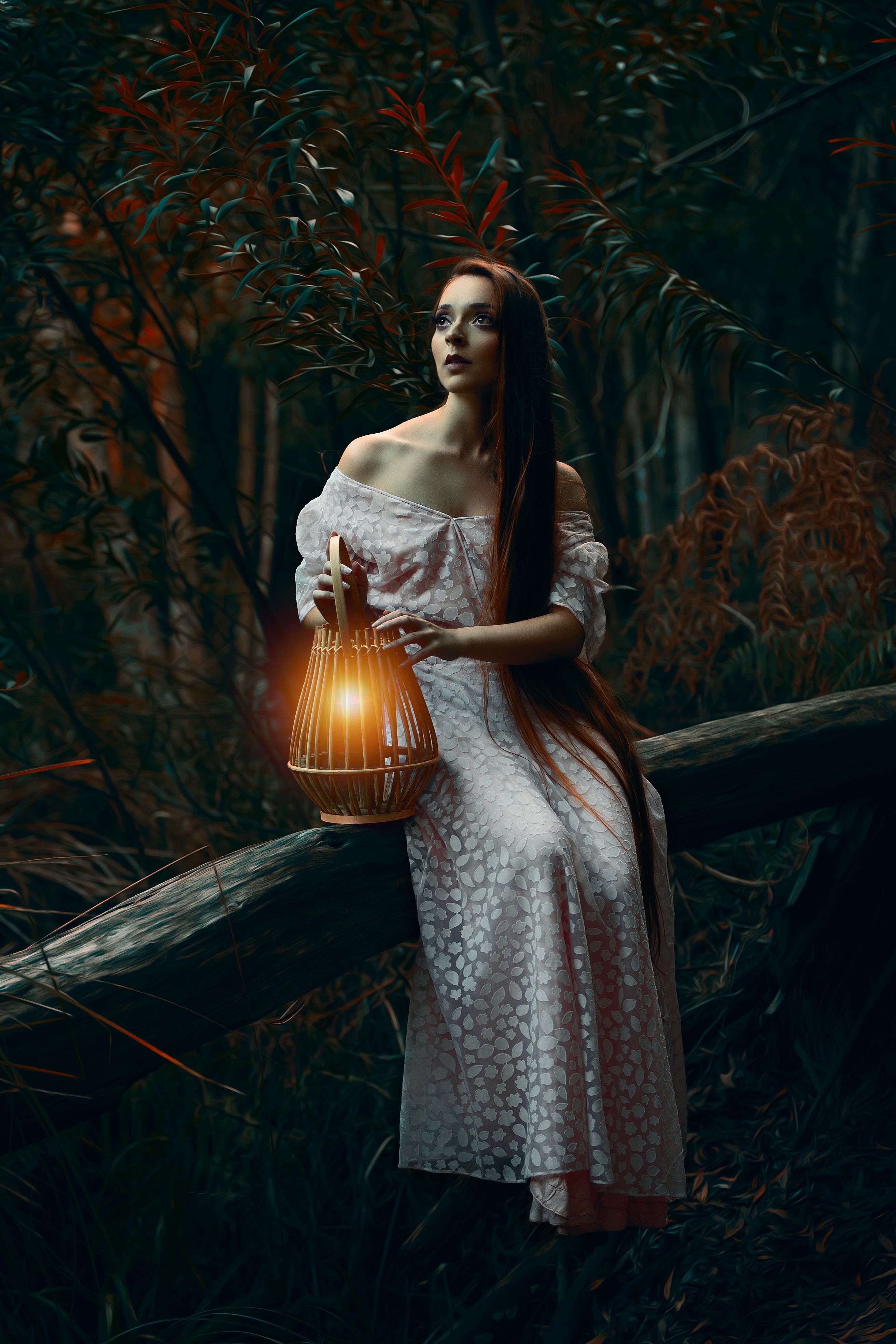 A Woman in a Dress Sitting Outside and Holding a Lantern · Free Stock Photo