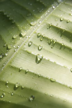 Image by Ilham Hadi Prayoga