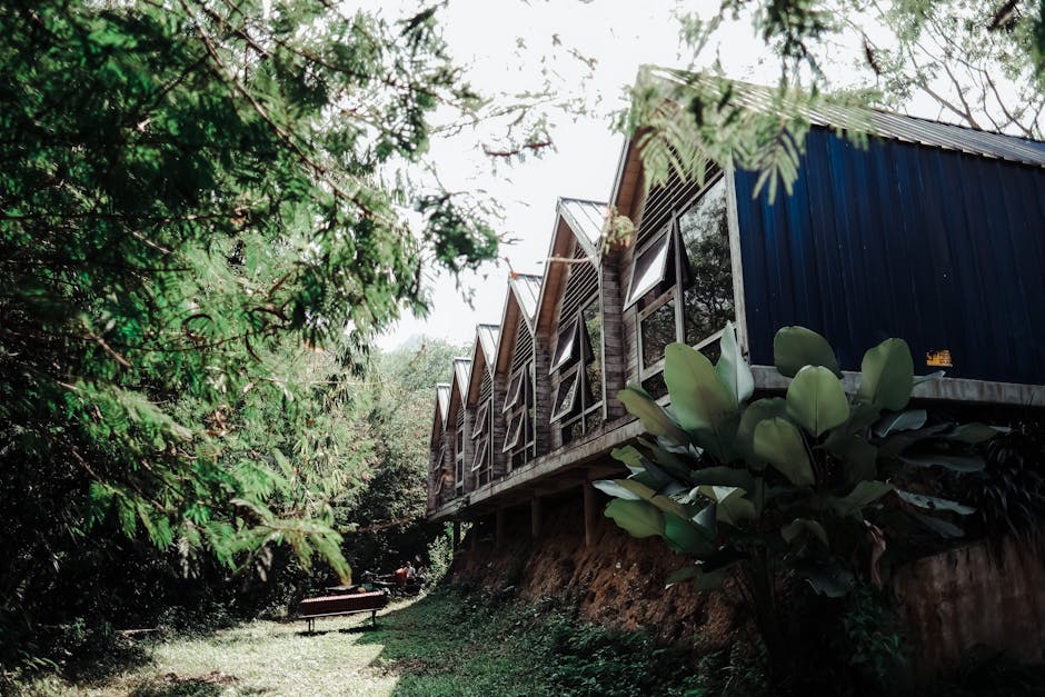 Sustainable Practices in Contemporary Architecture