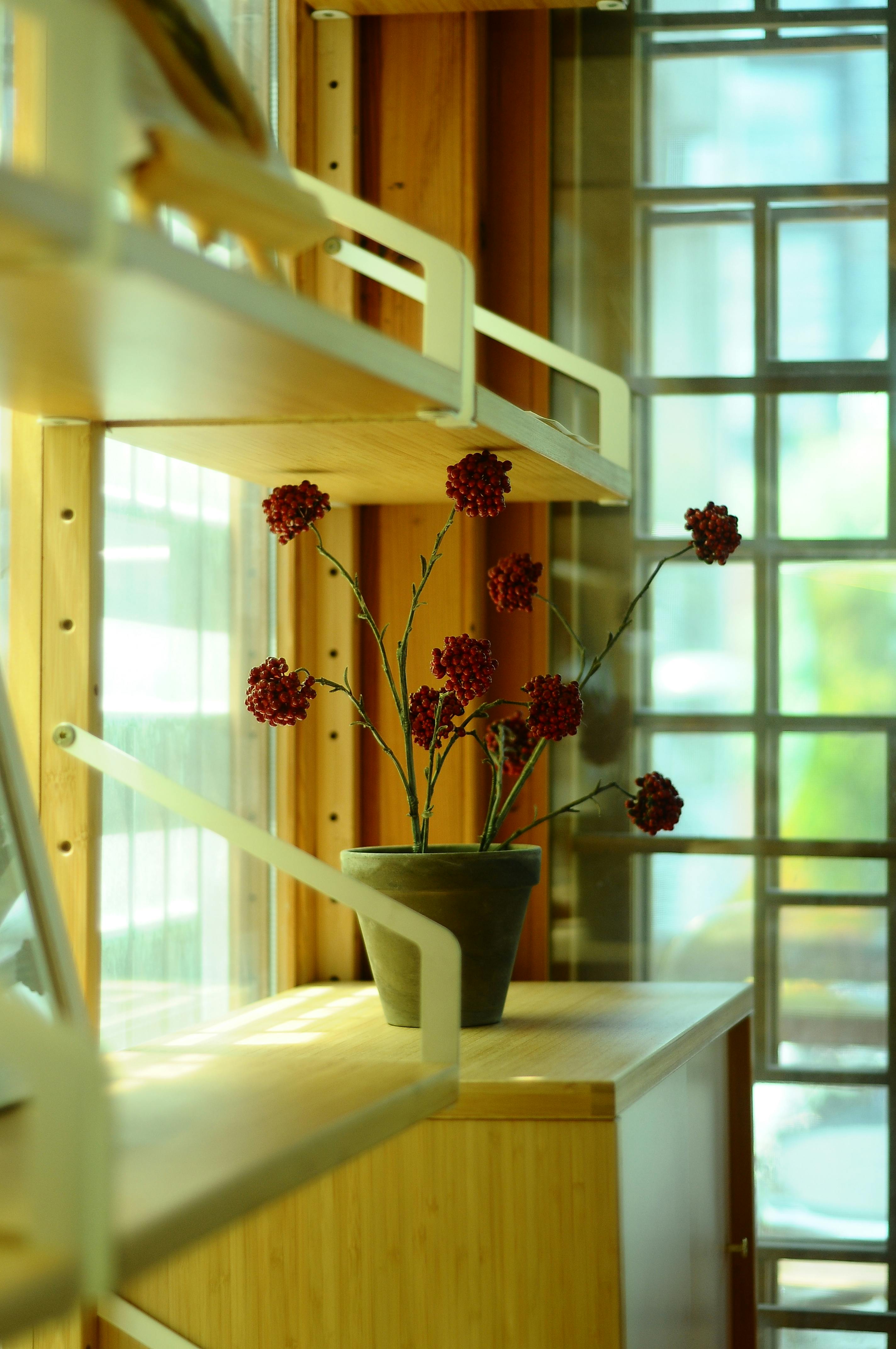 Stylish interior design featuring a red floral arrangement on wooden shelves by a window.
