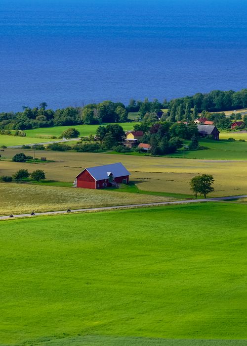 Free Vibrant rural landscape with a red barn and lush green fields under a clear blue sky. Stock Photo