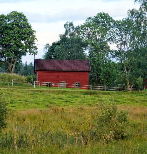Free Charming red barn surrounded by lush green trees and grass in a serene rural setting. Stock Photo