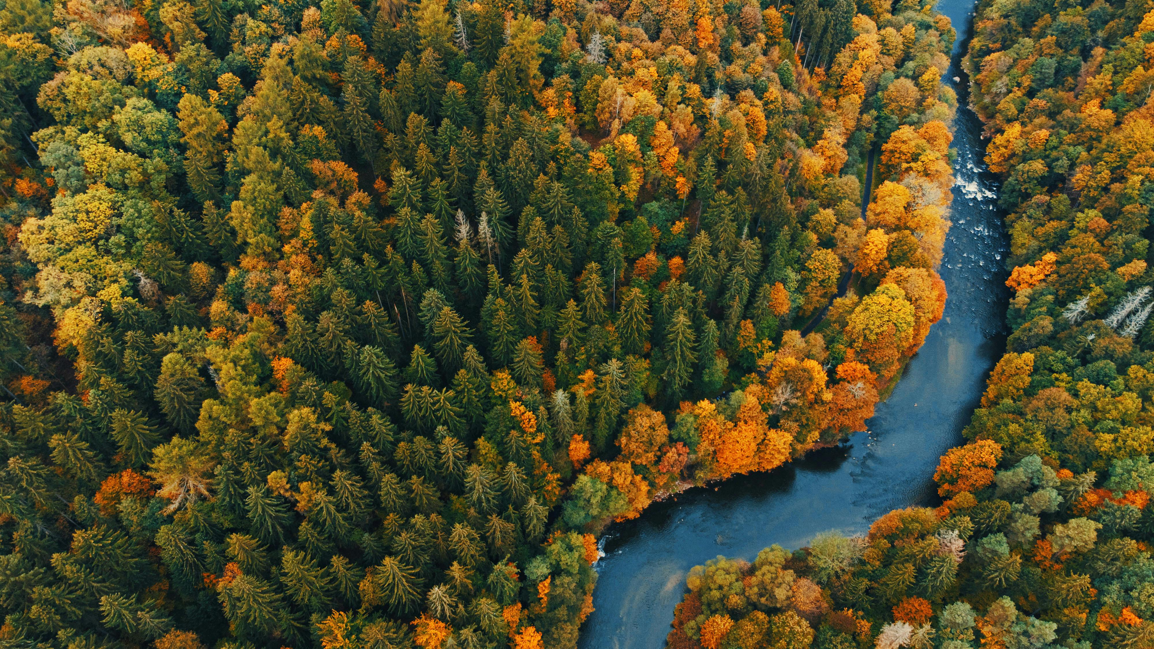 Corporate Governance: The “G” in ESG — Photo by Artem Stoliar on Pexels