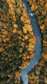 Stunning aerial view of a forest in autumn with vibrant foliage surrounding a flowing river.