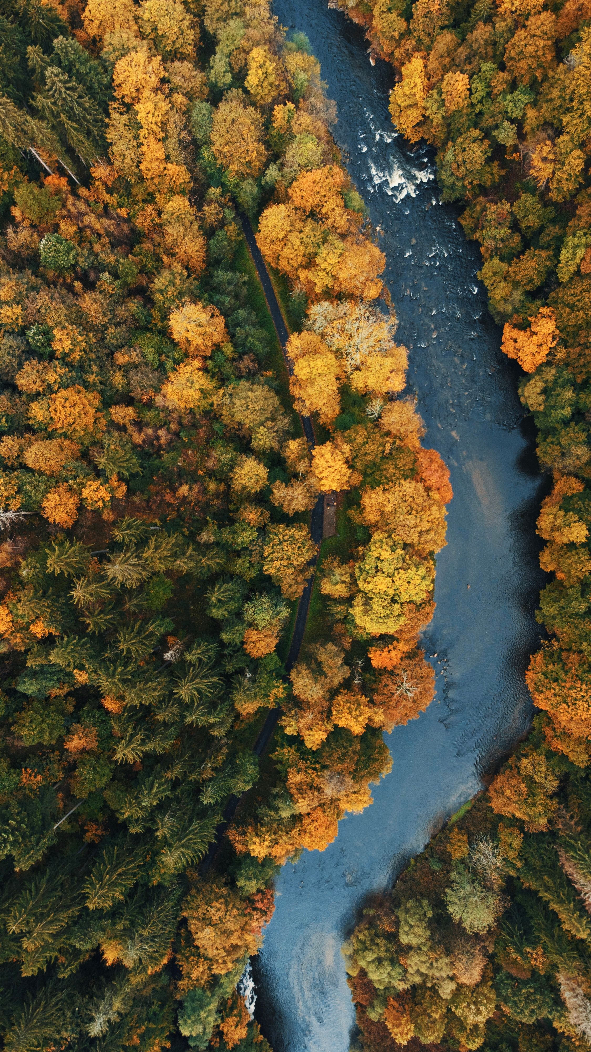 An aerial view of a river surrounded by trees · Free Stock Photo