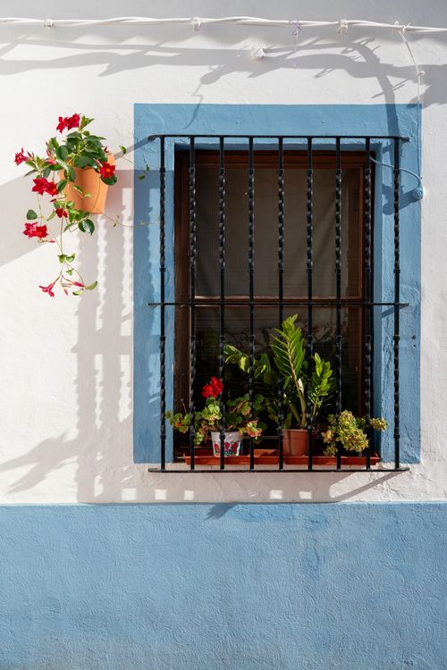 Free A sunlit, Mediterranean-style window with vibrant plants and blue trim in Denia, Spain. Stock Photo