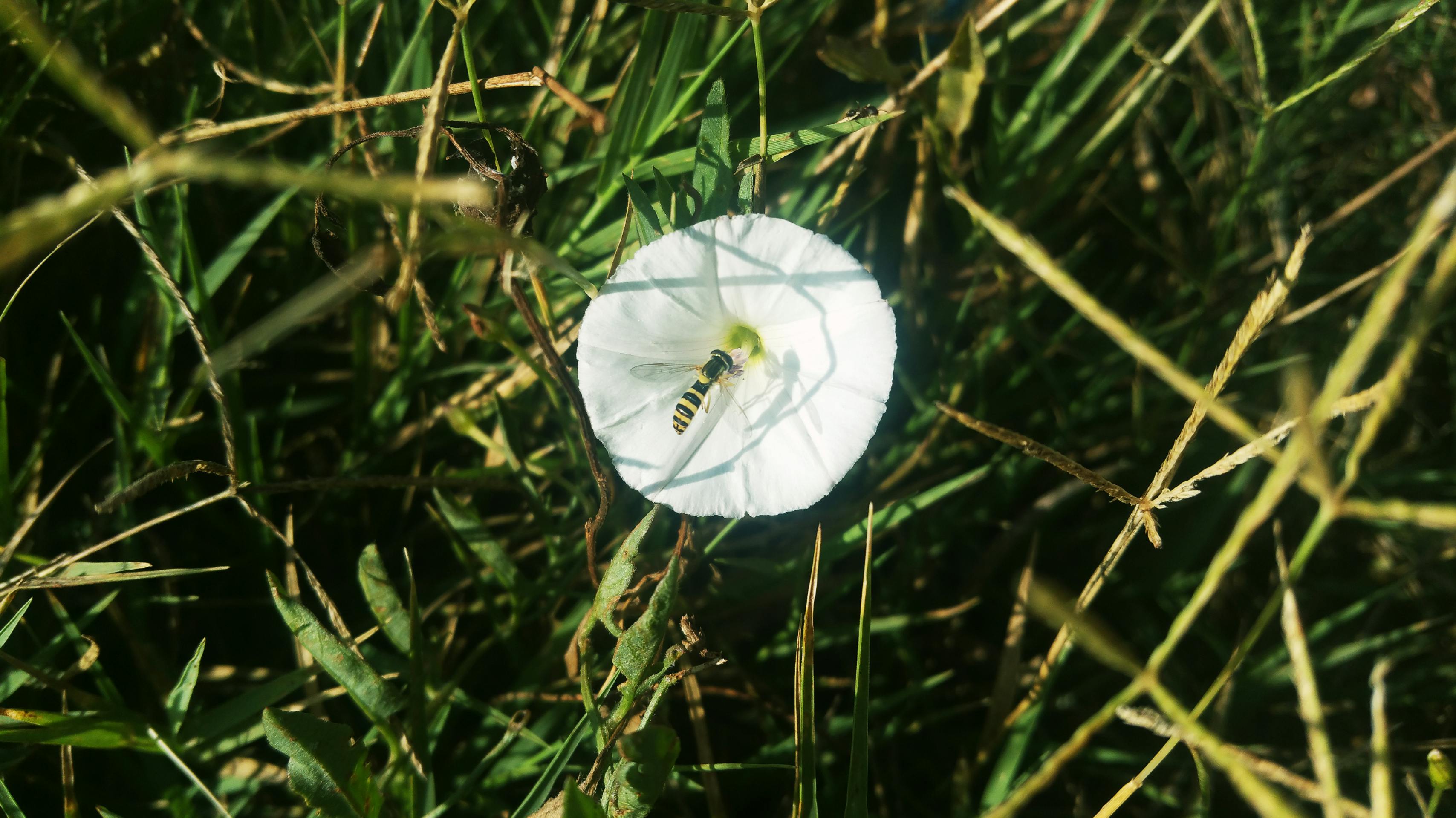 Customer with Converse