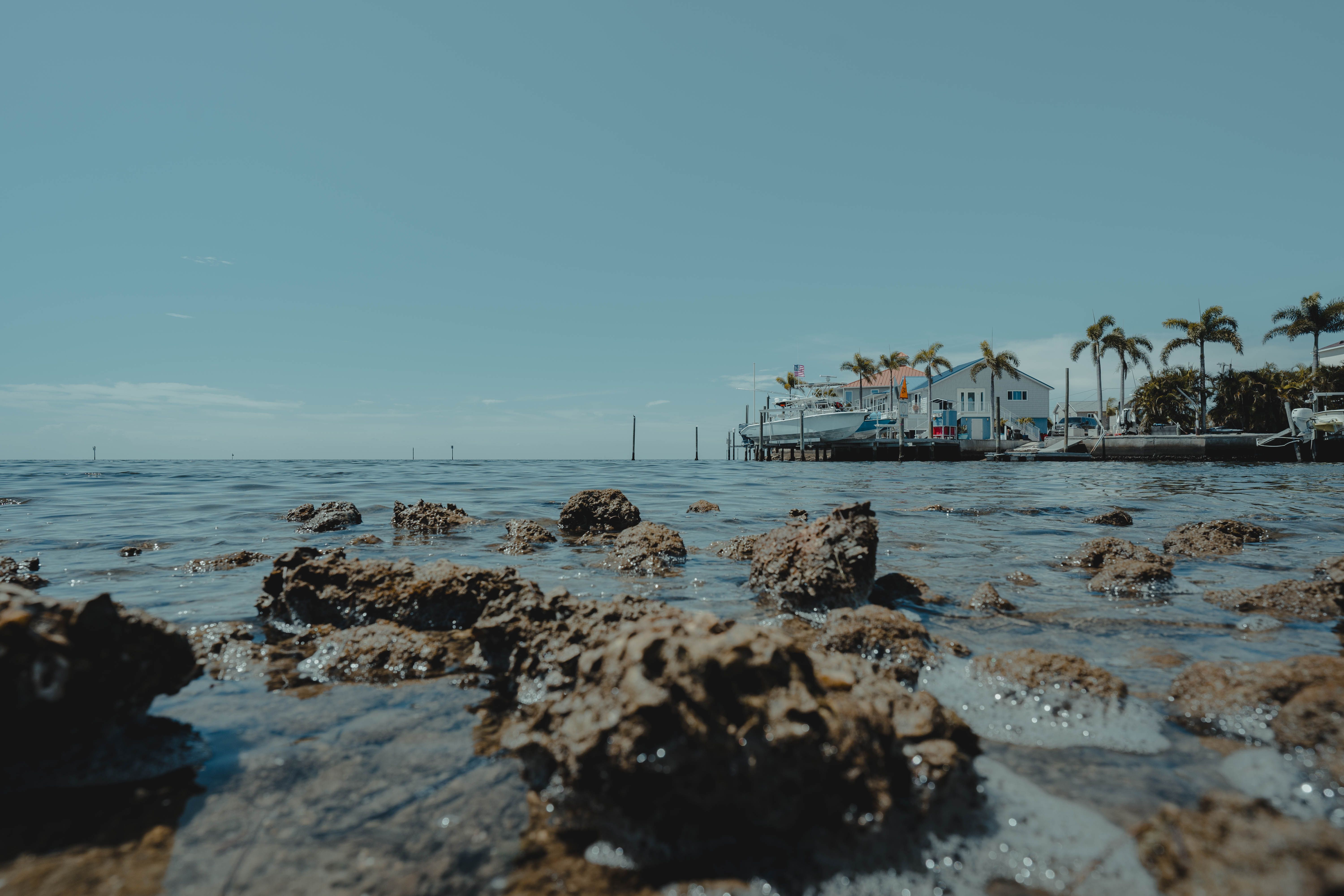 ASA Statement on Florida’s Removal of Introduction to Sociology as a General Education Course | Newswise — Photo by Jacob Eva