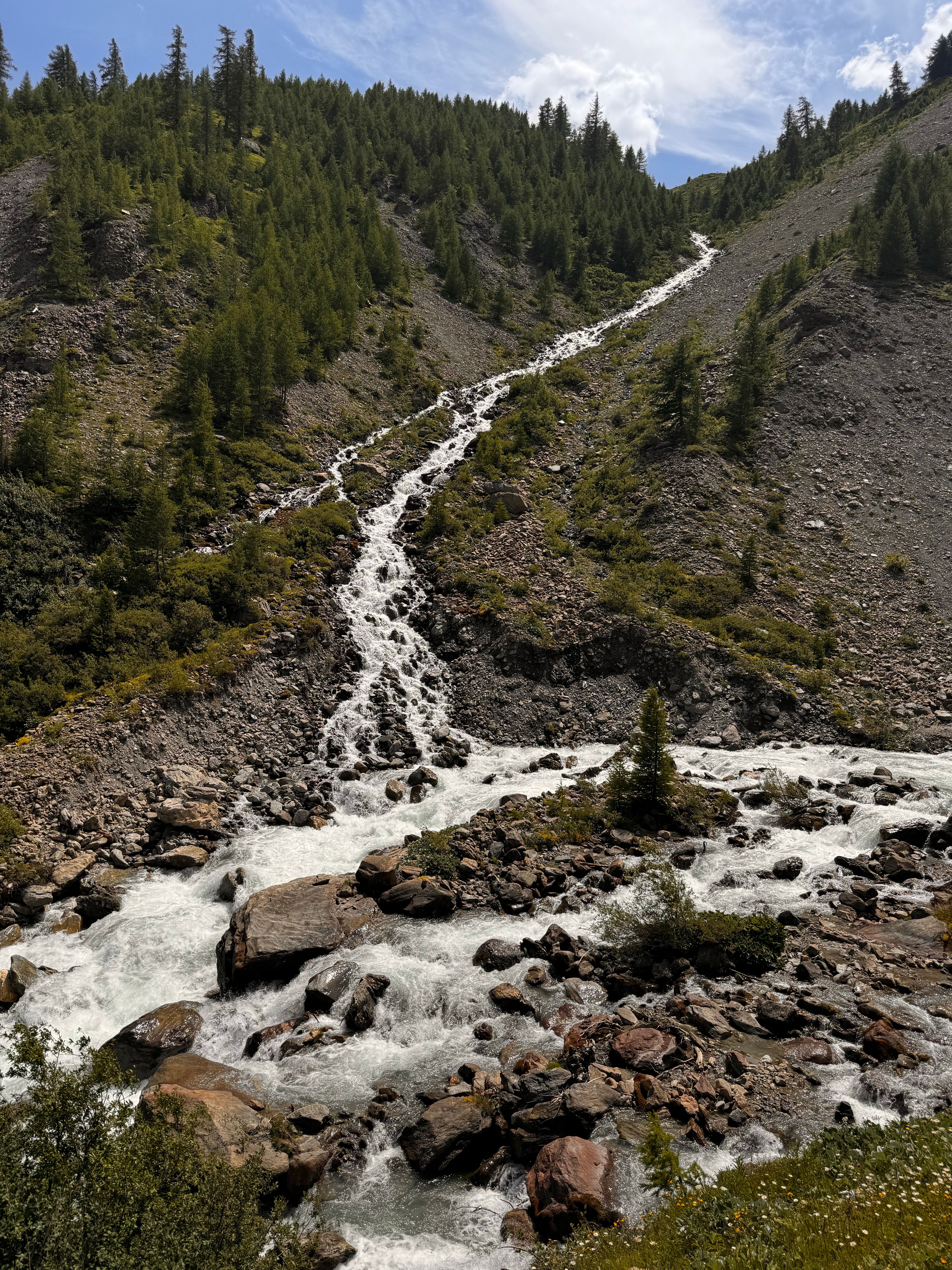 Beautiful mountain stream flowing down rocky terrain surrounded by trees.