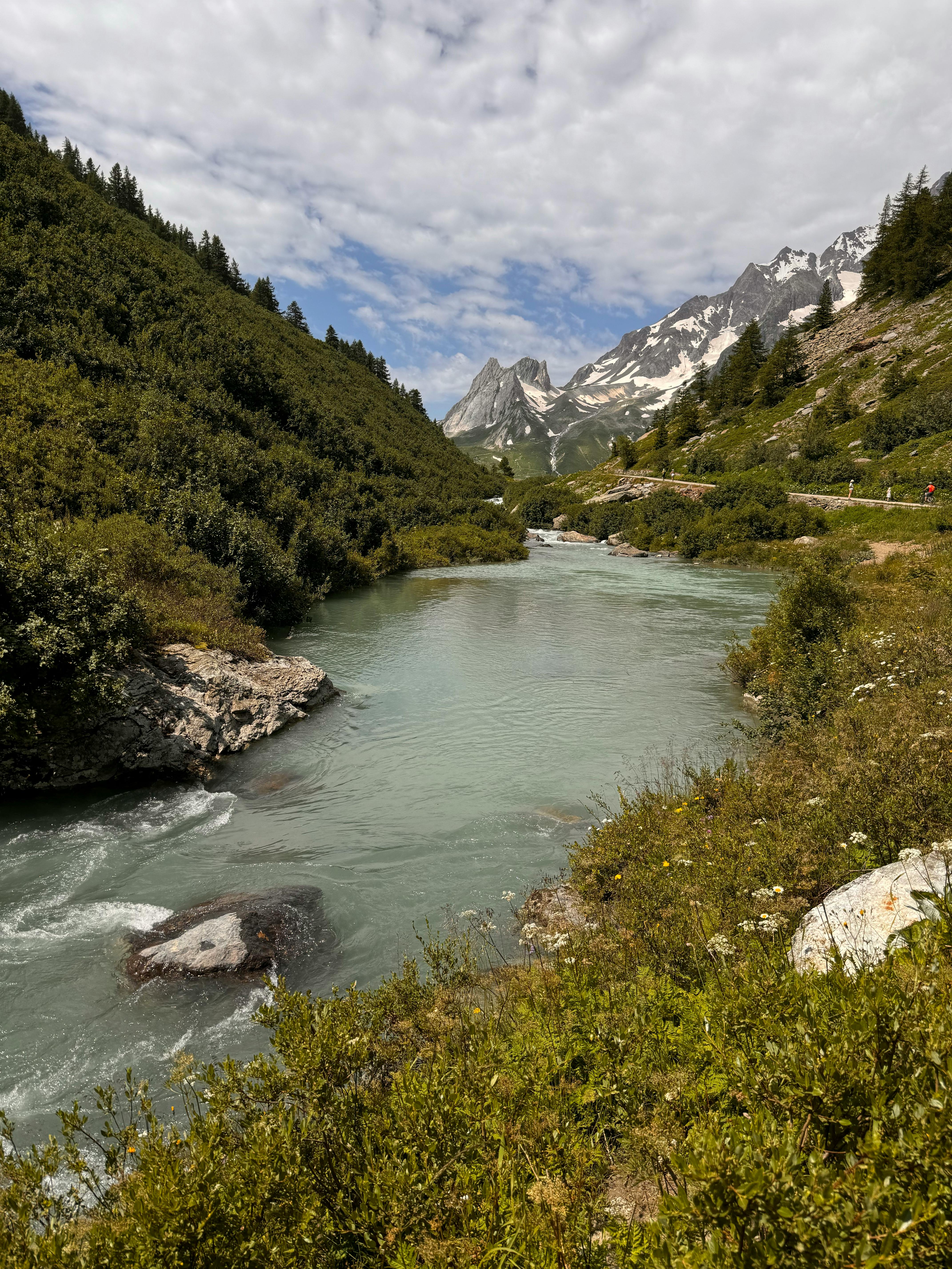 a river running through a valley with mountains in the background