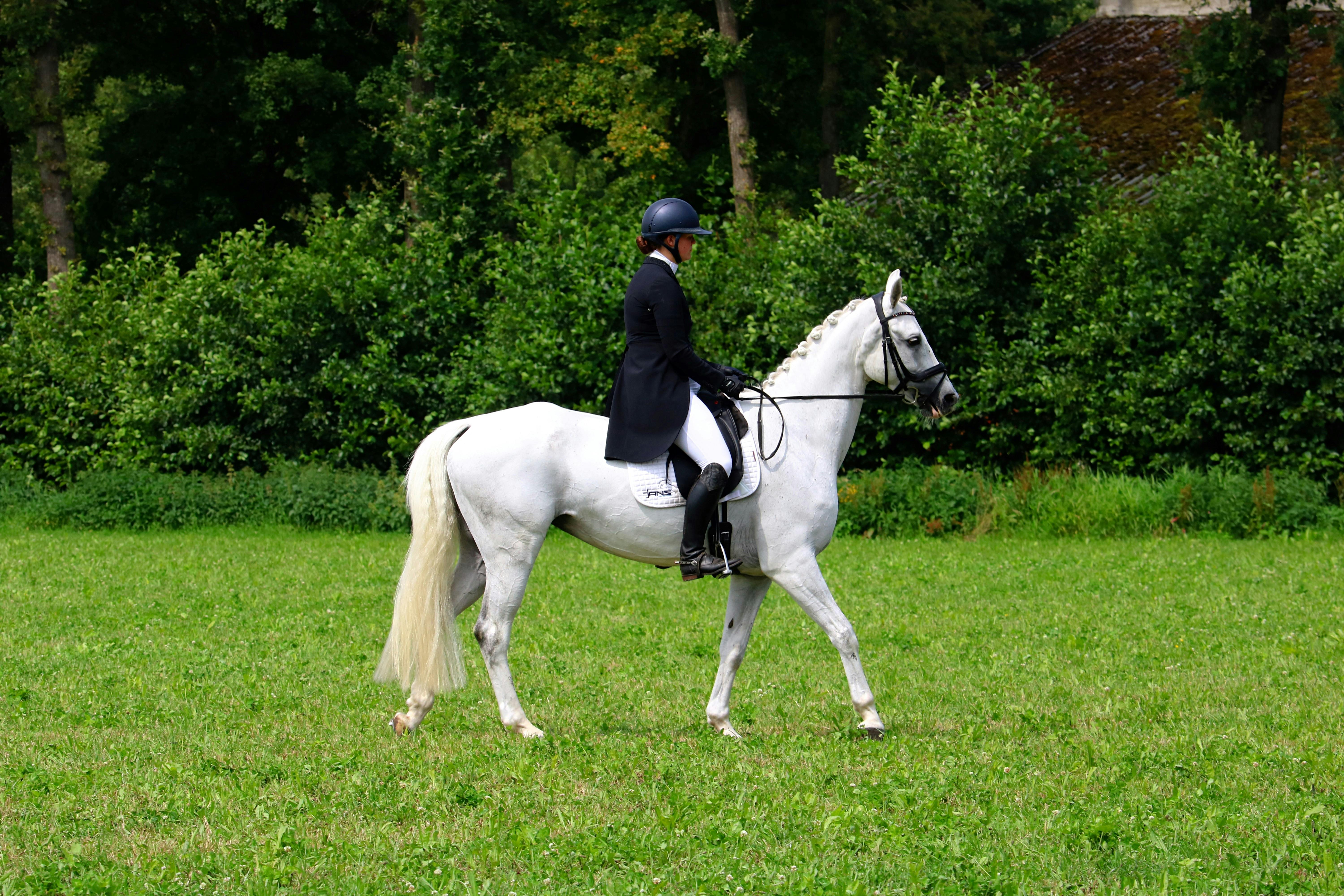 A skilled equestrian riding a white horse during a dressage event in a lush green field.
