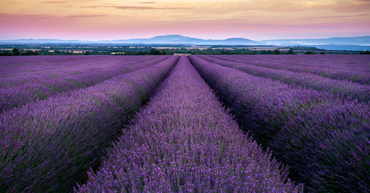 À la découverte des paysages spectaculaires des beaux pays