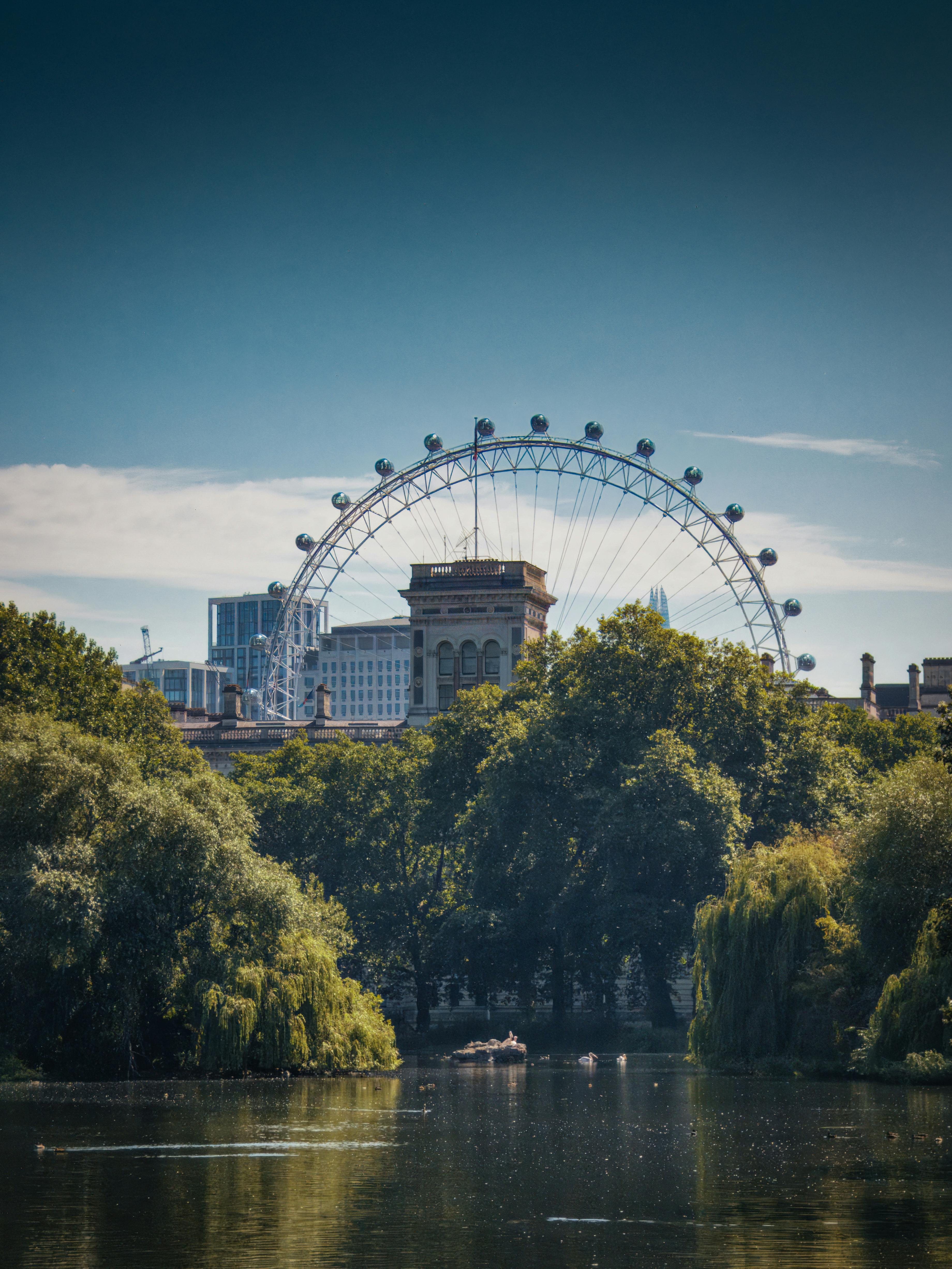 the london eye is seen from a park