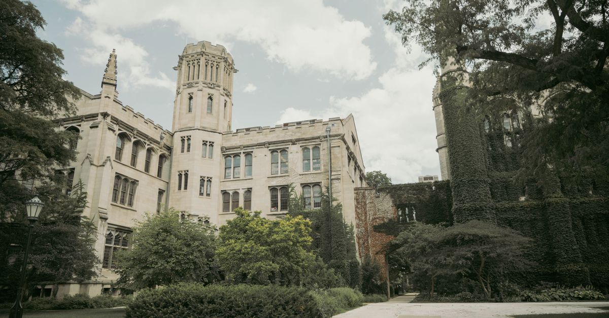 Thumbnail for Lincoln Park: What Renters Actually Pay to Live Here