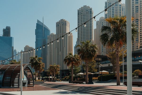 Rove Downtown - Basic