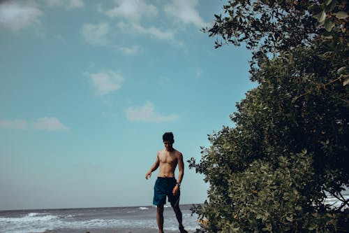 Δωρεάν στοκ φωτογραφιών με ακτή, άνδρας, γυμνός από τη μέση