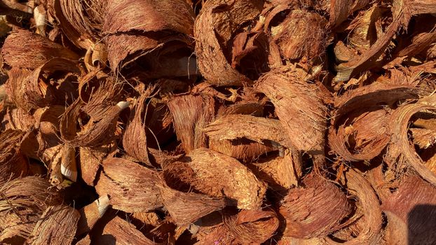 Close-up of coconut husk chips, ideal for mulching and gardening. Natural brown texture.