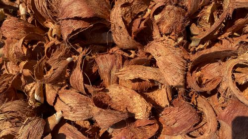 Cocopeat chip untuk drainase