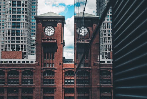 Brown Concrete Clock Tower